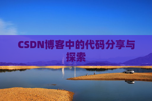 CSDN博客中的代码分享与探索