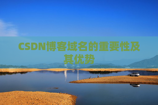 CSDN博客域名的重要性及其优势